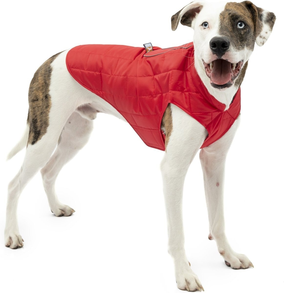 Kurgo Loft Reversible Insulated Dog Quilted Coat