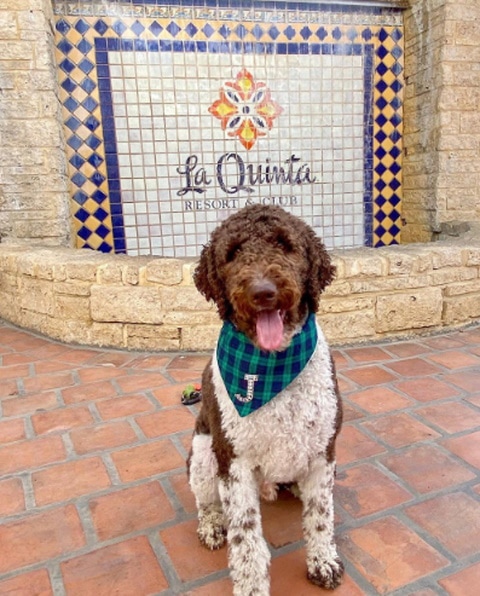 La Quinta Resort & Club