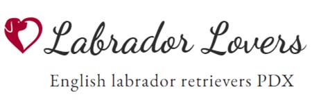 Labrador Lovers