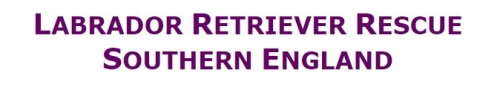 Labrador retriever rescue logo