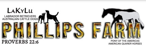 Lakylu labrador logo