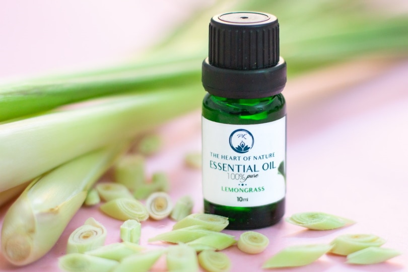 Lemongrass essential oil