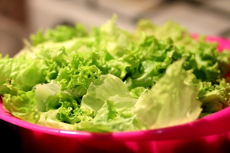 light green Lettuce