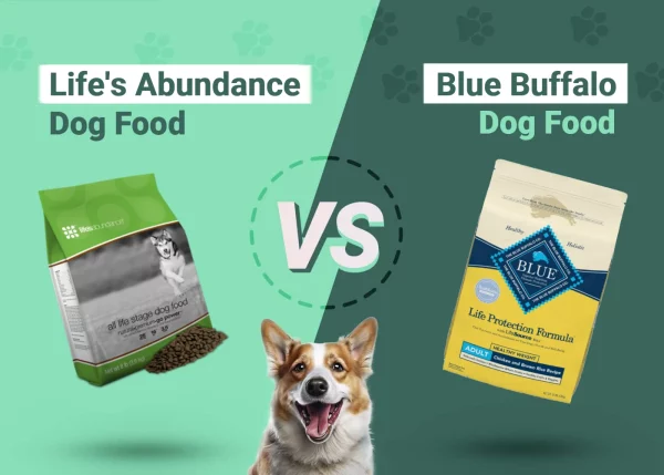 Life's Abundance vs Blue Buffalo Dog Food - Featured Image