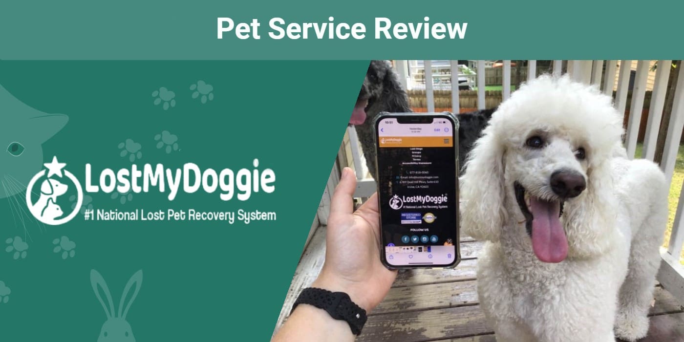 Lost-My-Doggie-Pet-Recovery-Service-SAPR-FT-Review