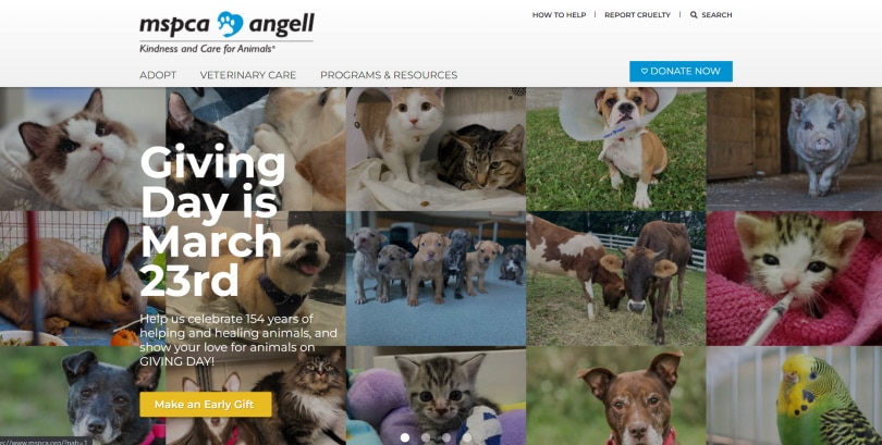 MSPCA