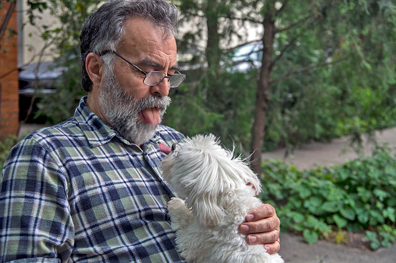 Maltese dog likes the owner to show him his tongue to imitate him