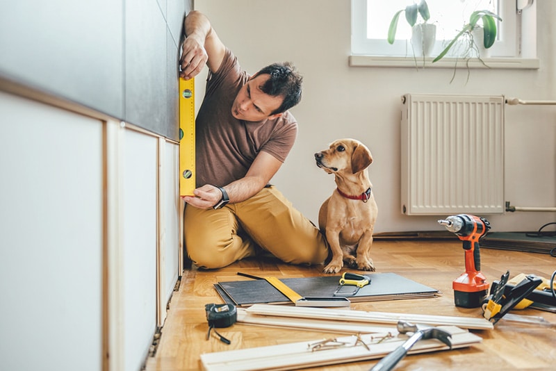 Man doing renovation work dog construction tools