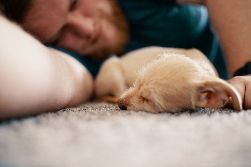 Man sleeping with his dog