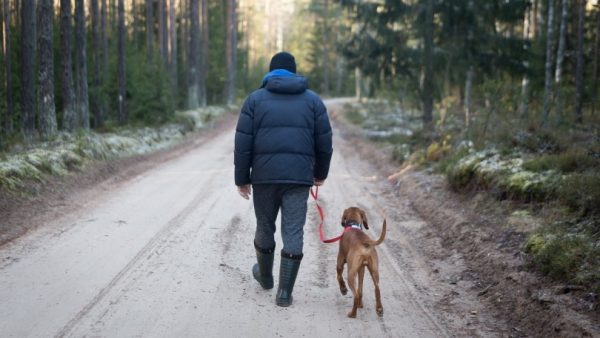 Man with dog on hiking trip