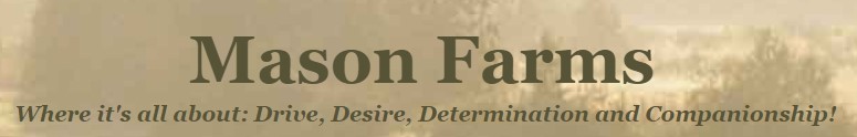Mason Farms