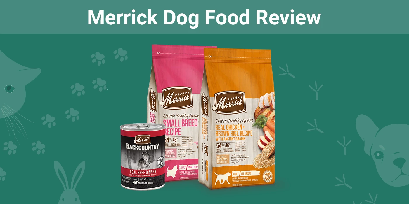 Merrick Dog Food - Featured Image