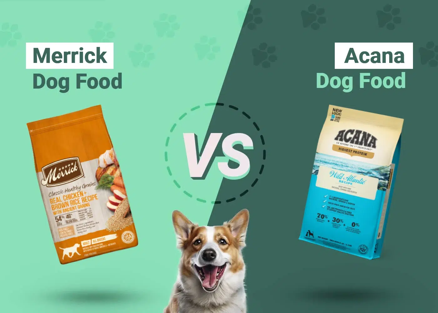 Merrick vs Acana Dog Food 2024 Comparison, Pros & Cons Dogster