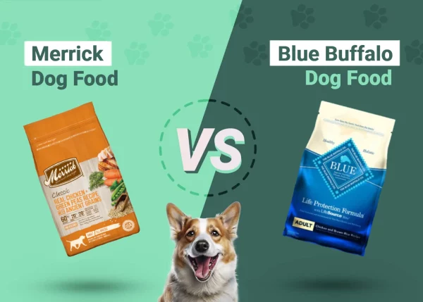 Merrick vs Blue Buffalo Dog Food - Featured Image