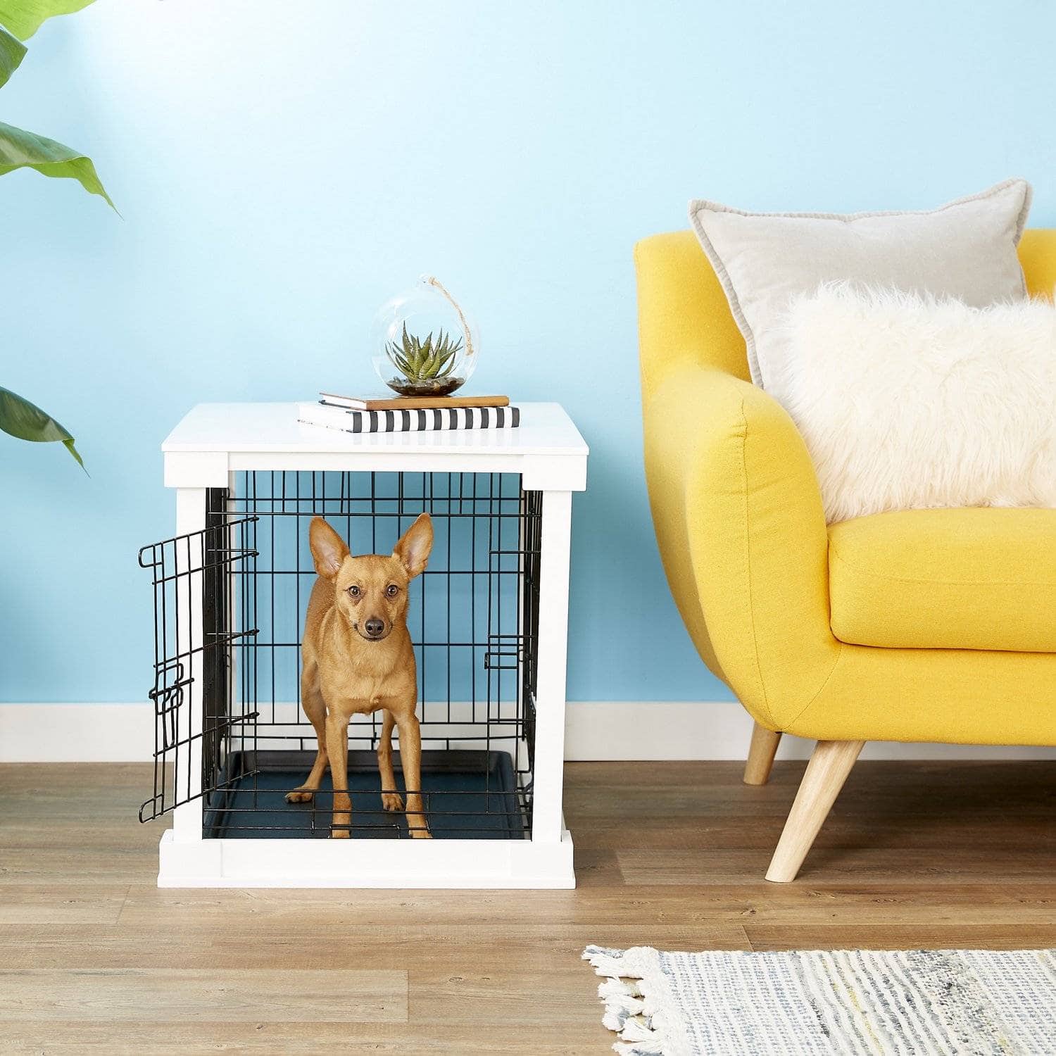 10 Best Crates for Small Dogs in 2024 Reviews & Top Picks Dogster