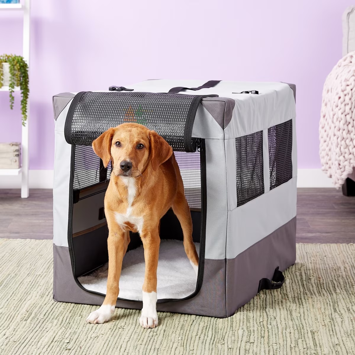 MidWest Homes for Pets Canine Camper Sportable Portable Tent Crate