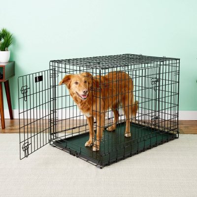 MidWest Ultimate Pro Collapsible Wire Dog Crate