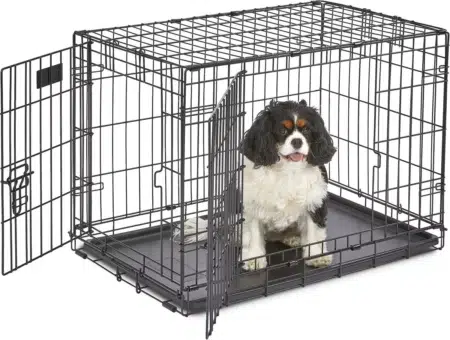 MidWest iCrate Fold & Carry Double Door Collapsible Wire Dog Crate