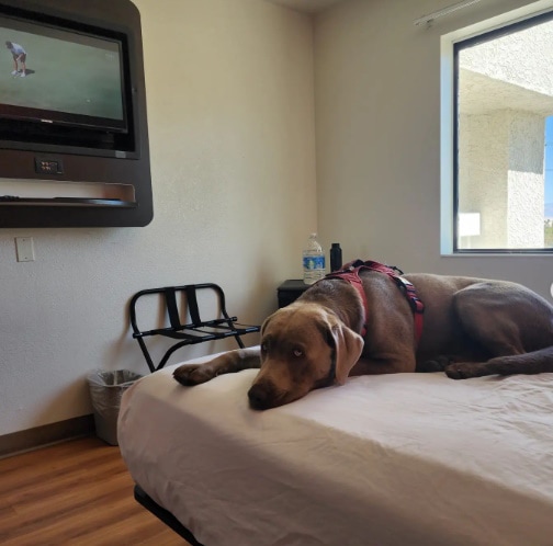 Motel 6