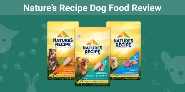 Nature’s Recipe Dog Food - Featured Image