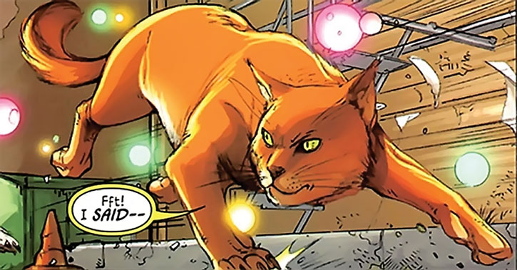 Niels Hairball Marvel Comics cat Pet Avengers