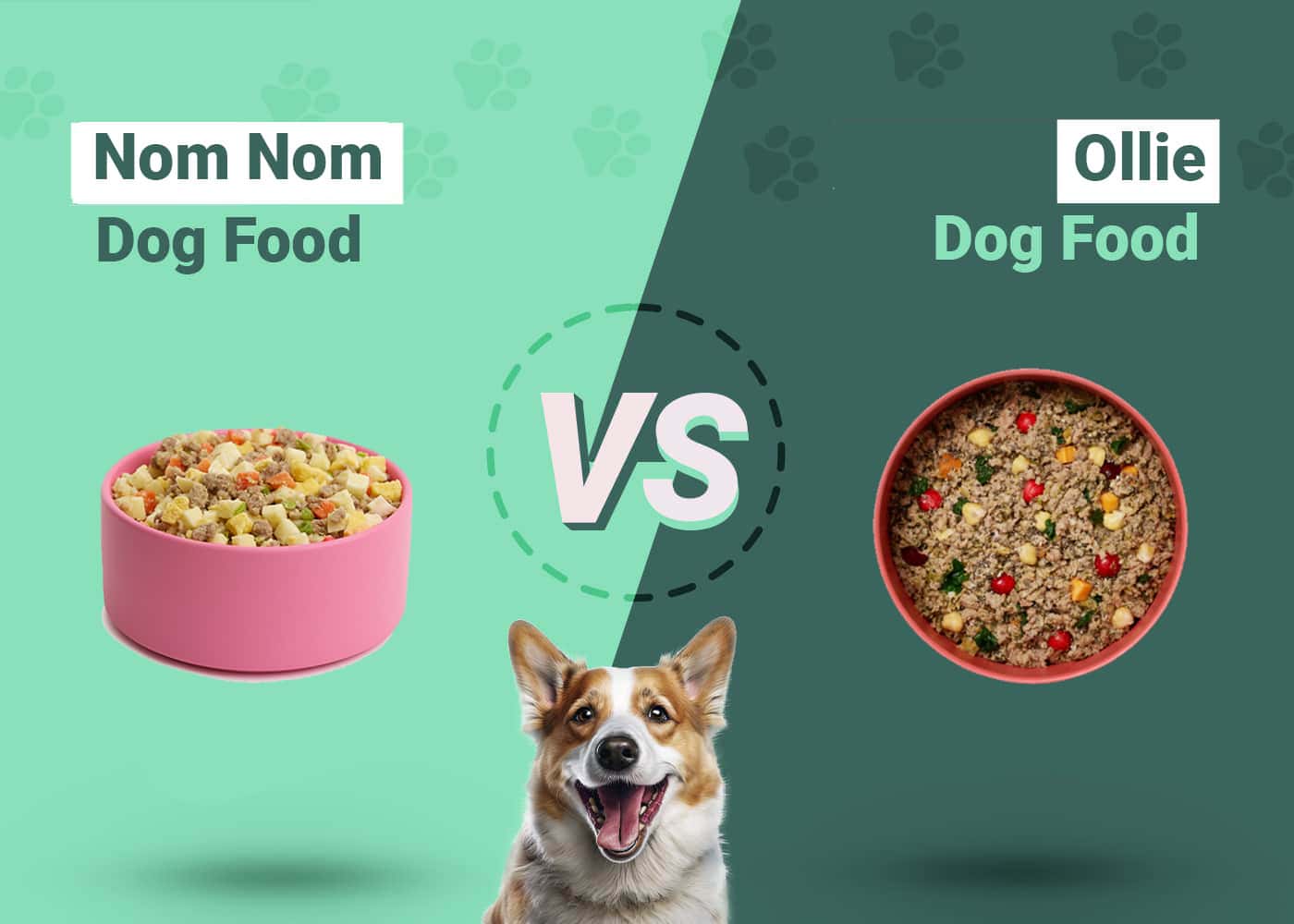 Nom Nom vs. Ollie Dog Food Our 2024 InDepth Comparison Dogster