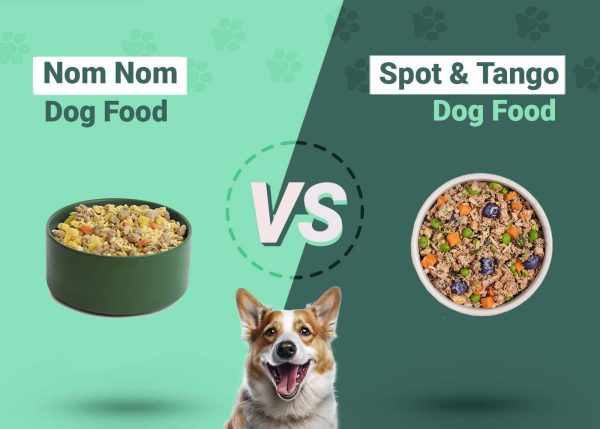 Nom Nom Dog Food vs Spot & Tango Dog Food 2024