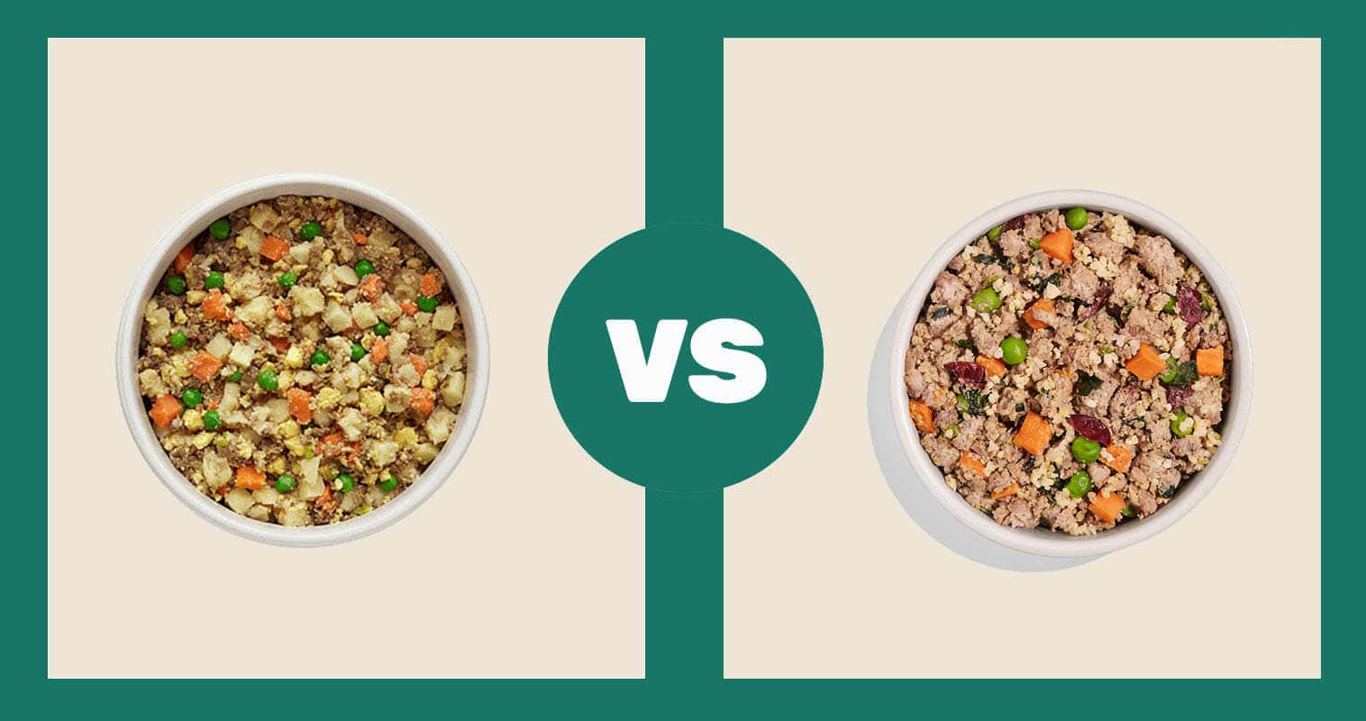 Nom-Nom-Fresh-Dog-Food-Beef-Mash-vs-Spot-and-Tango-Fresh-Dog-Food-Beef-Millet