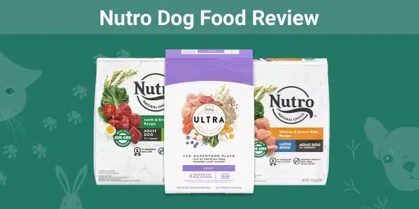 Is Nutro Dog Food Being Discontinued Nutro Dog Food Review 2024: Pros, Cons & Expert's Opinion – Dogster