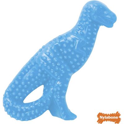 Nylabone Puppy Chew Toys for Teething