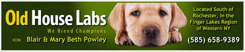Old House Labs logo
