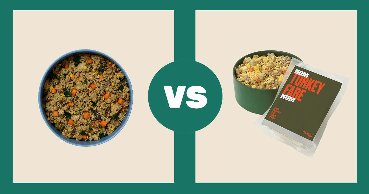 Ollie-Dog-Food-Fresh-Turkey-vs.-Nom-Nom-Turkey-Fare-Fresh-Dog-Food