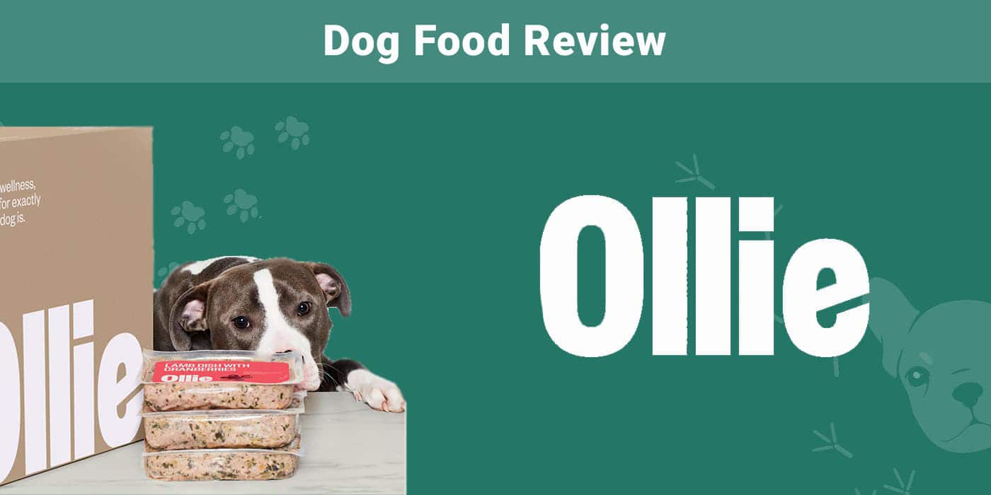 Ollie Fresh Dog Food Review Featured Image