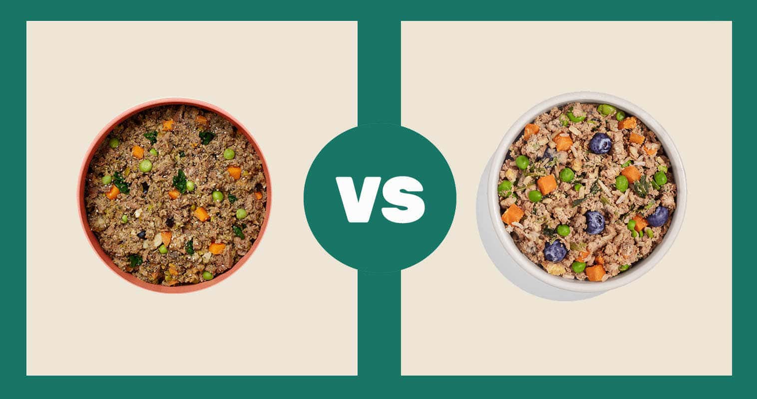Ollie-Pet-Food-Fresh-Dog-Food-Fresh-Lamb-vs-Spot-and-Tango-Lamb-and-Brown-Rice