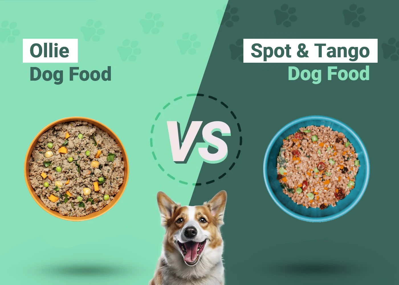 Ollie vs Spot & Tango Dog Food - Featured Image