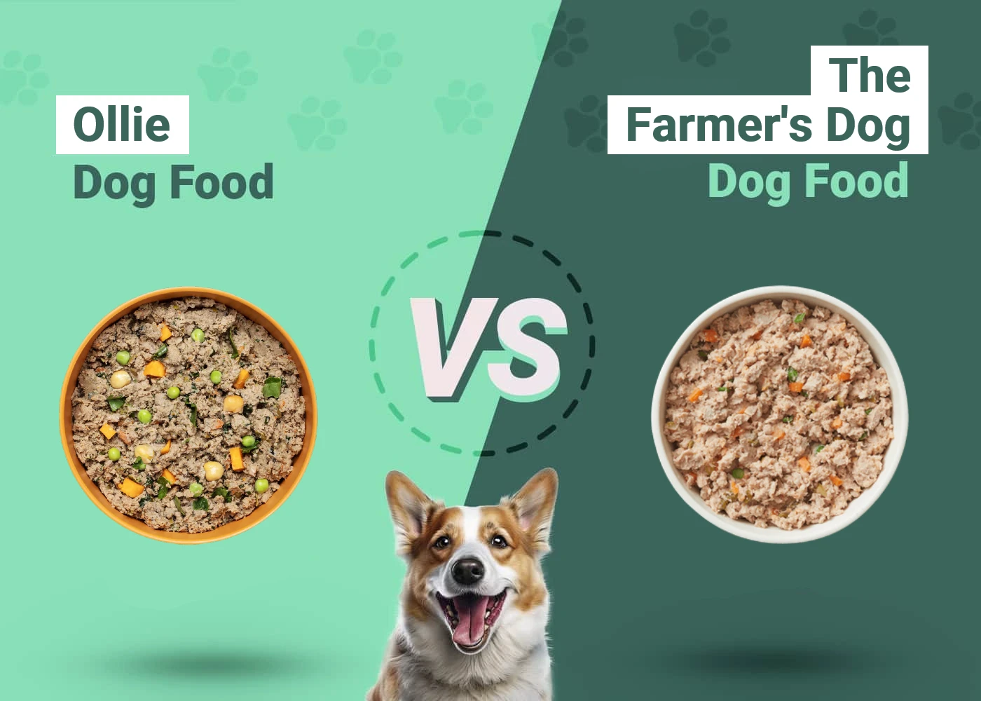 Ollie vs The Farmer's Dog Dog Food - Featured Image