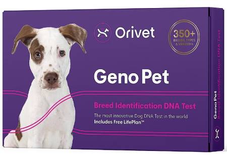 Orivet Geno Pet Dog DNA Breed Identification Test