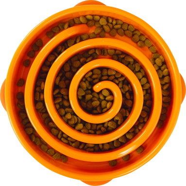 Outward Hound Fun Feeder Interactive Dog Bowl