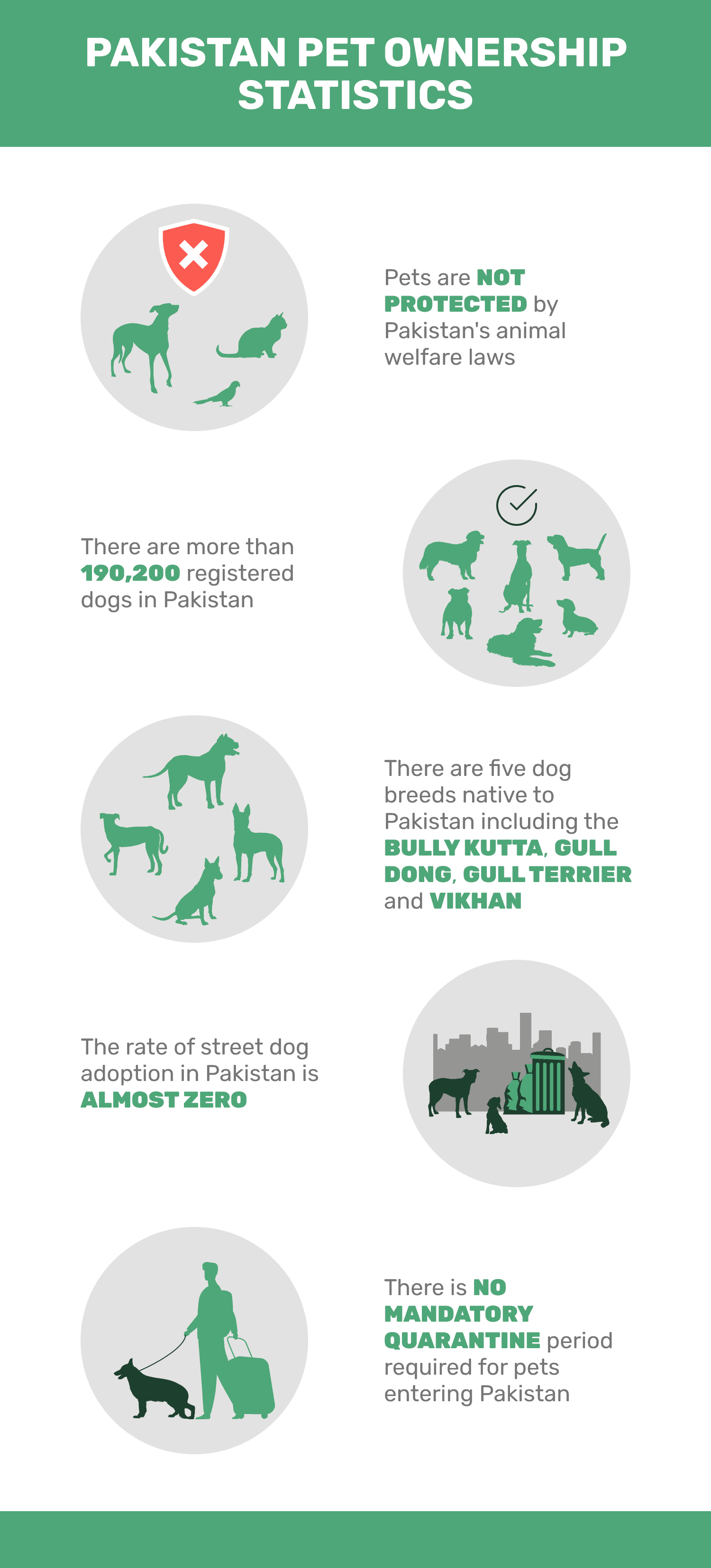 PAKISTAN_PET_OWNERSHIP_STATISTICS
