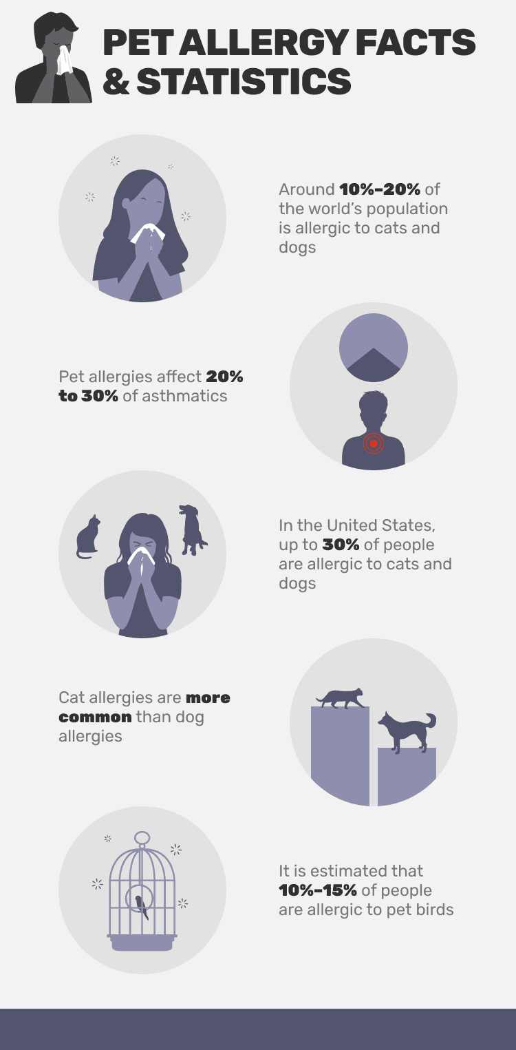 PET_ALLERGY_FACTS_&_STATISTICS