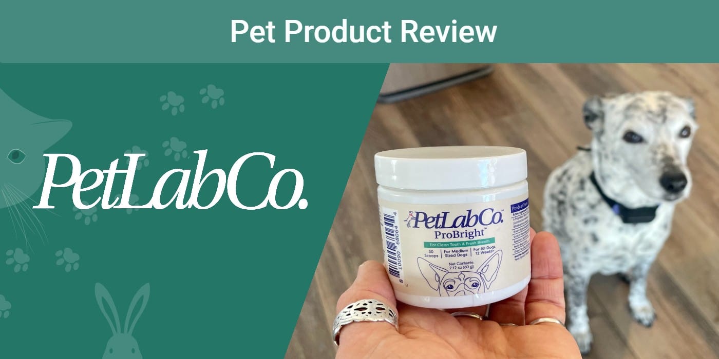 PetLab Co. ProBright Dental Powder - Dog Breath Freshener - Teeth Cleaning  Made Easy – Targets Tartar & Bad Breath - Formulated for Medium Size Dogs