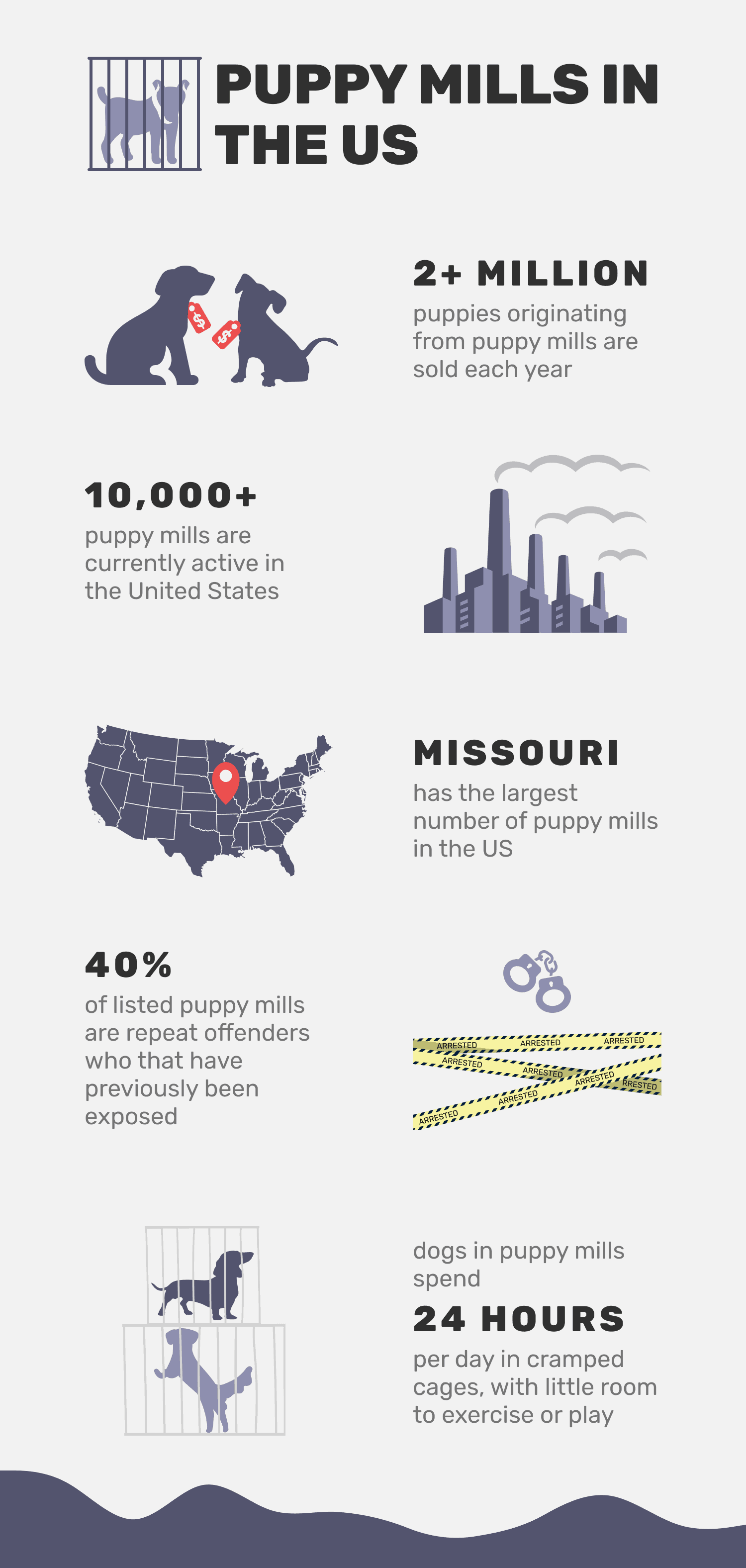 puppy mills in the usa