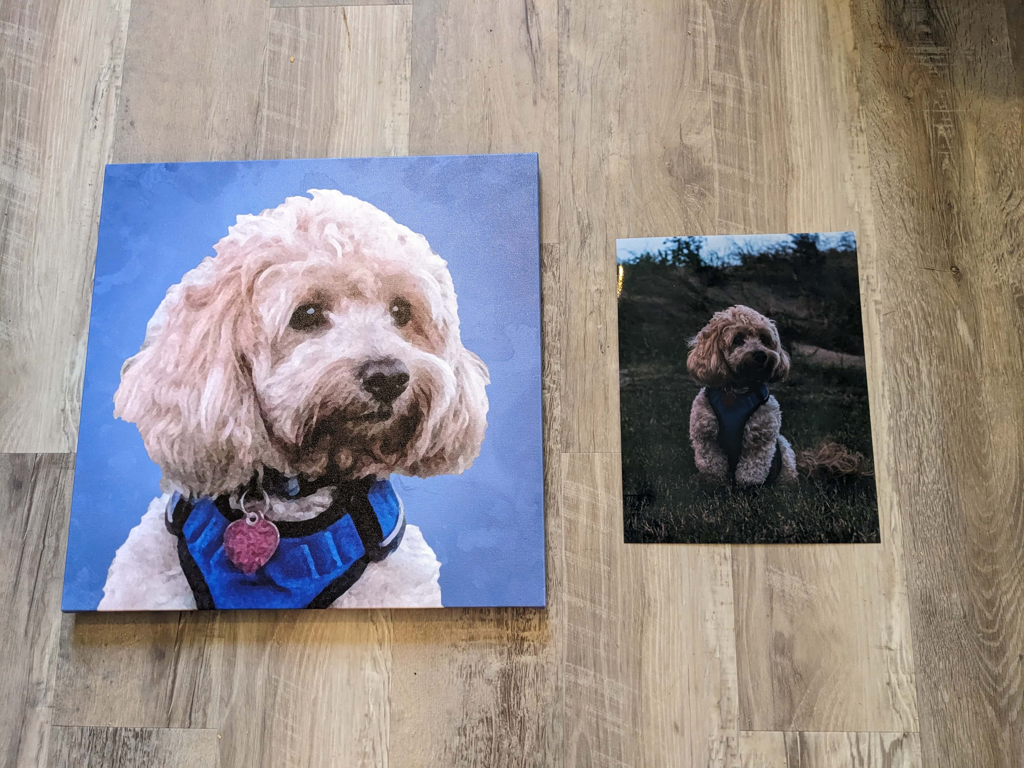 Canvaspop side by side SAPR image