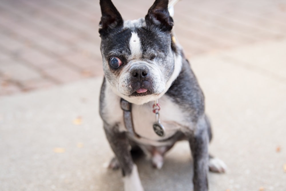 Page Light Studios_shutterstock_Glaucoma
