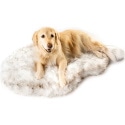 Paw Brands Orthopedic Bed