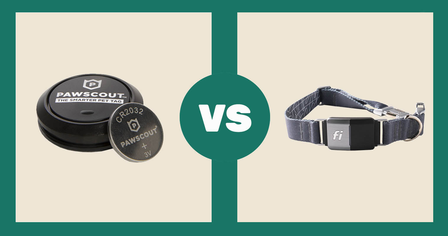 Pawscout Version 2.5 Smarter Bluetooth Enabled Dog & Cat Tag vs Fi Dog Collar