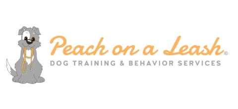 Peach on a leash