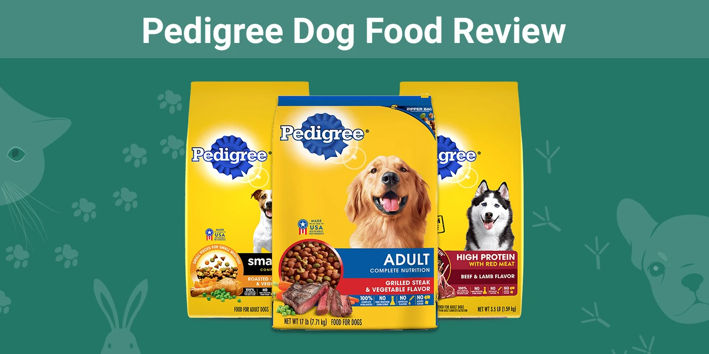 Pedigree Dog Food - Featured Image