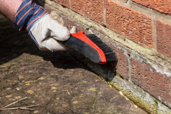 Person cleaning brick wall with brush