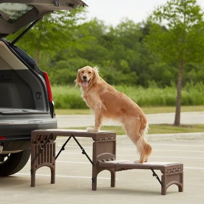 Pet Gear Foldable Dog Car Steps